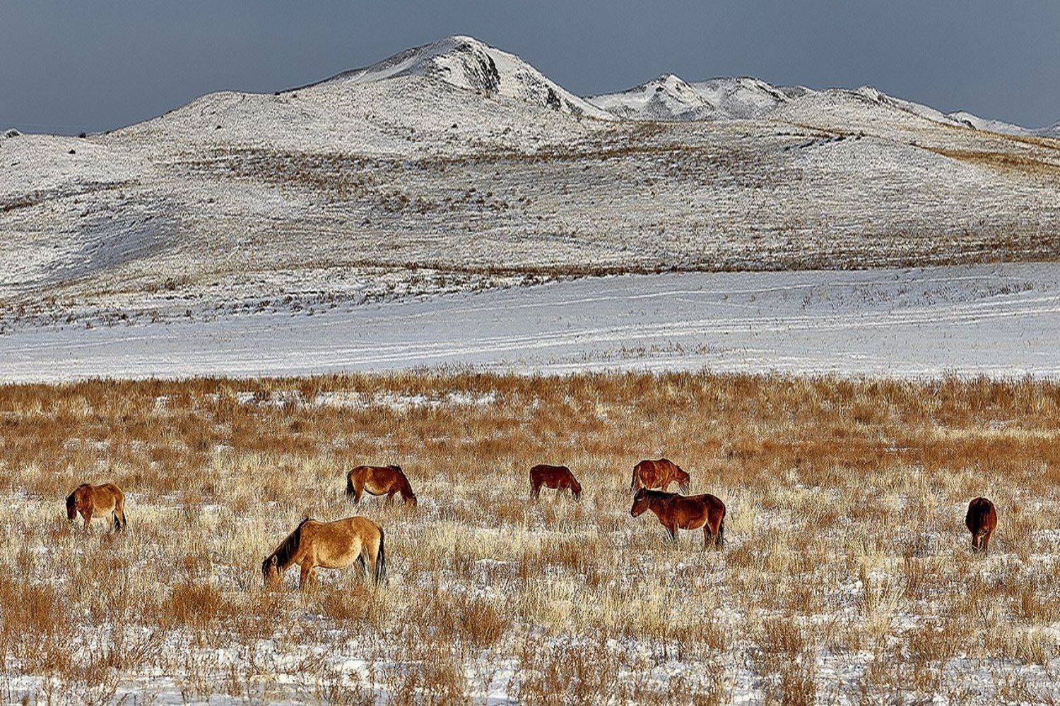 южный, урал, губерля орск, новотроицк, Качурин Алексей