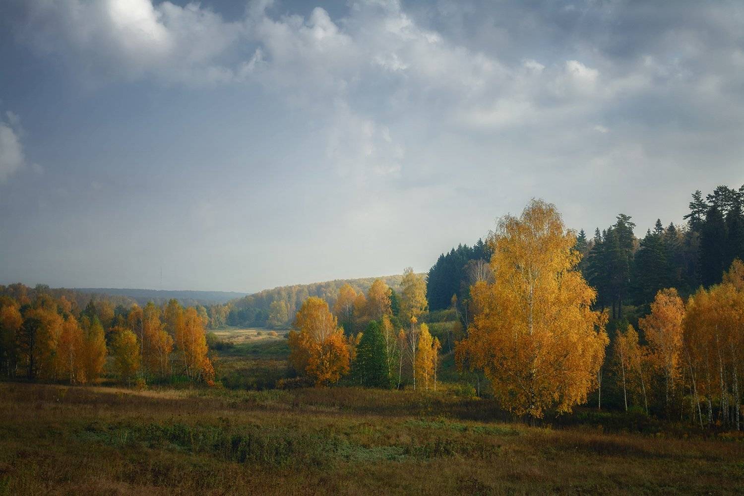 , Анатолий Зверев