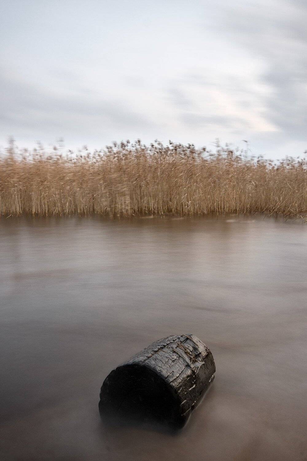 , Федотов Антон