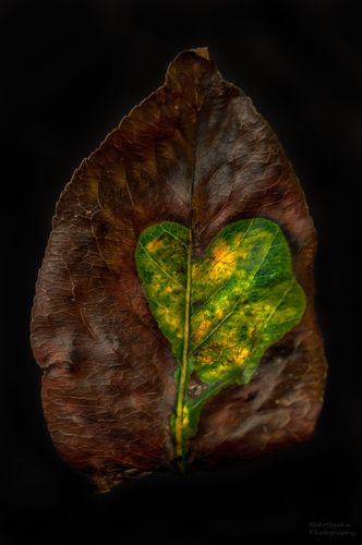 от природы с любовью