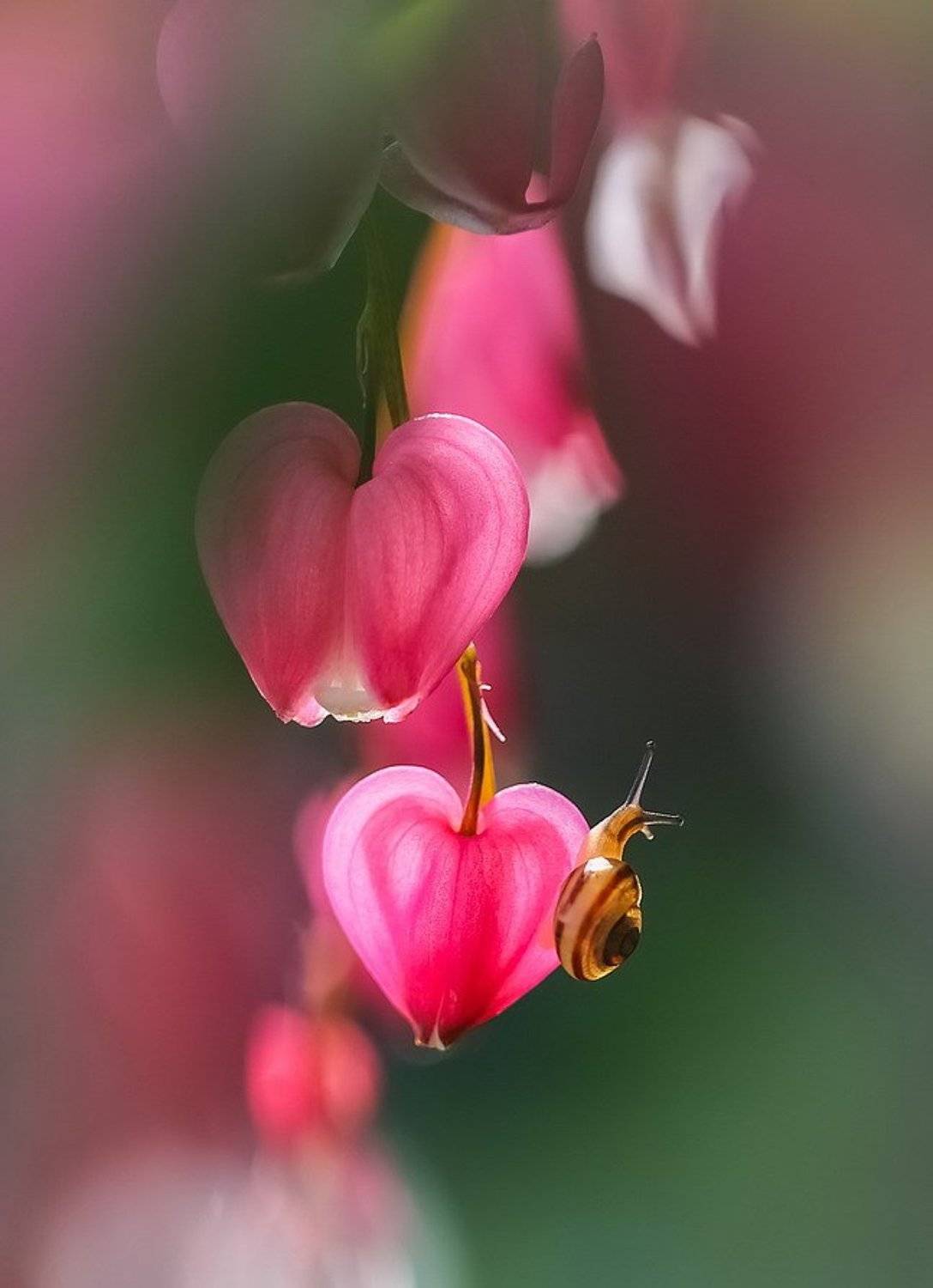 , Вячеслав Мищенко