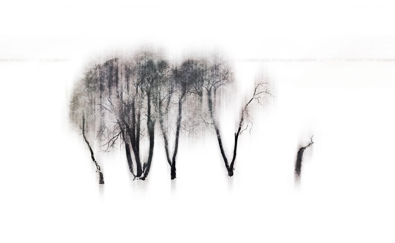 Зимний сон фото превью