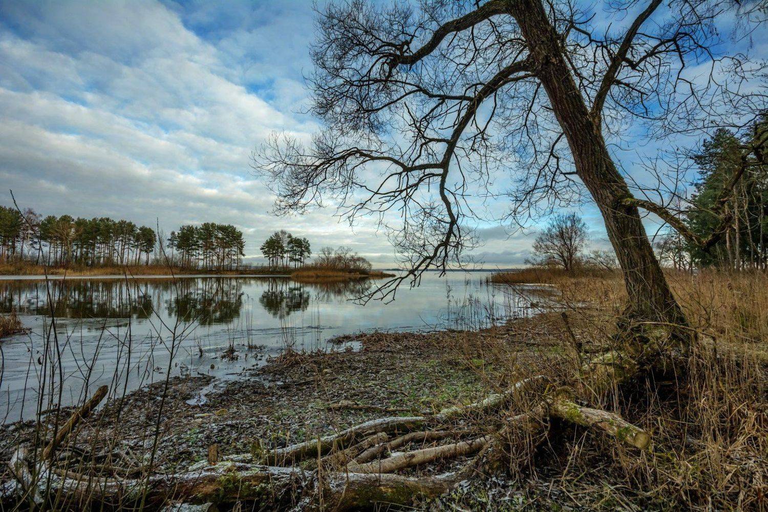 , Сергей Харитон