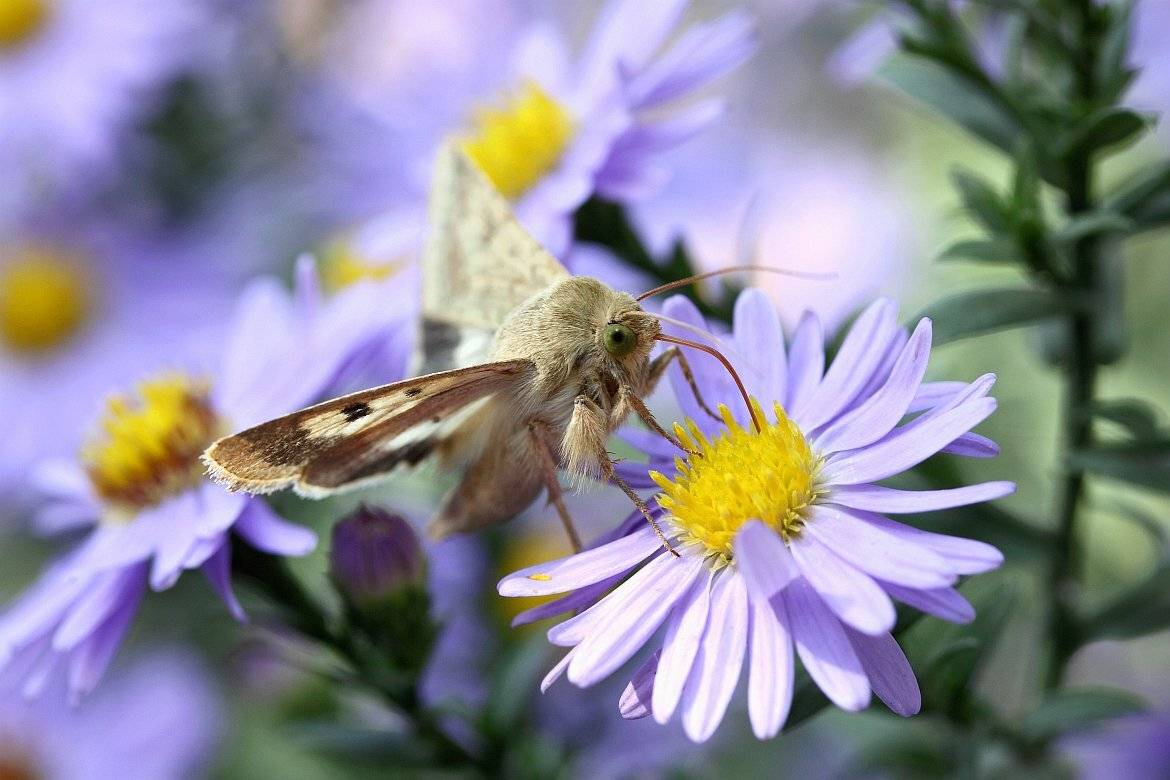 , Сергей Фудиненко