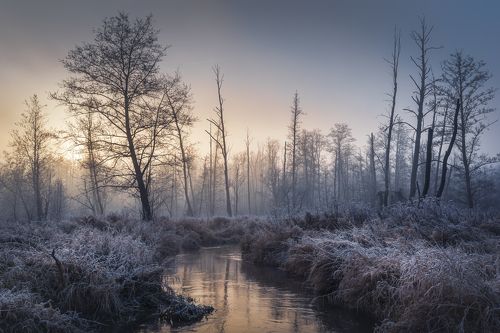 Poland