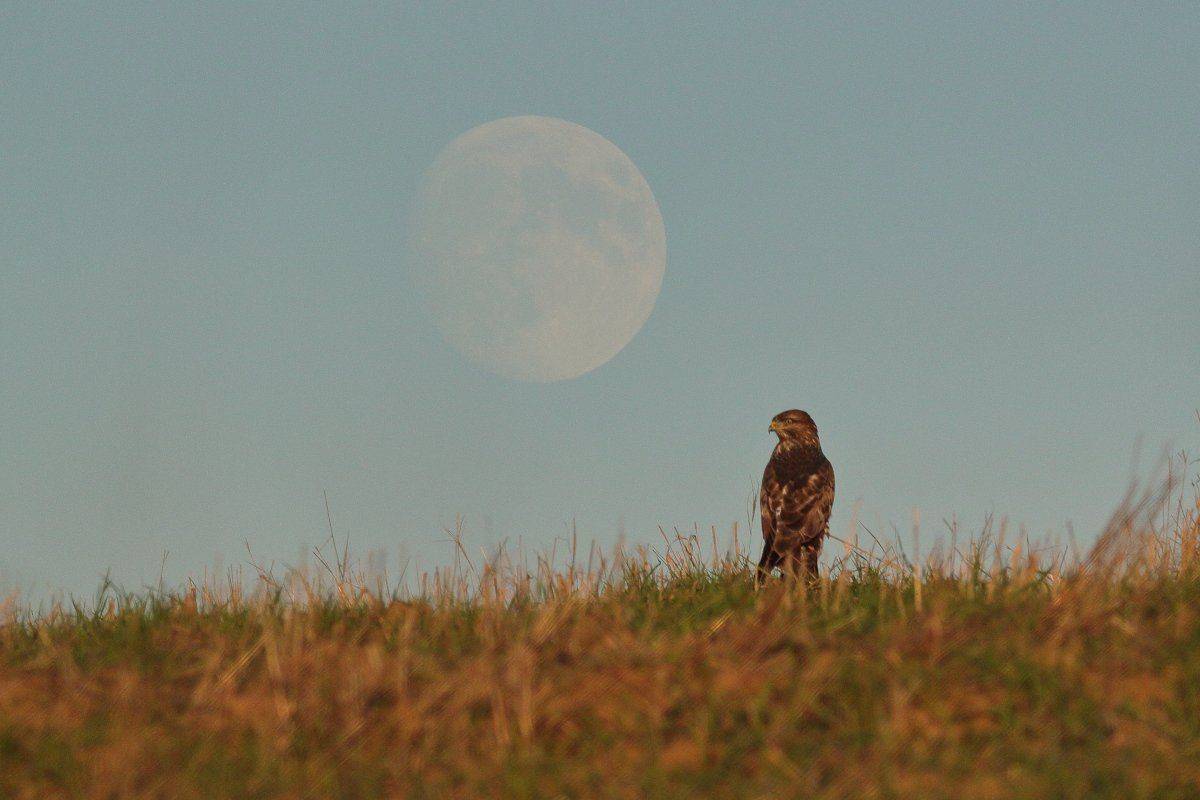 , Георги Славов