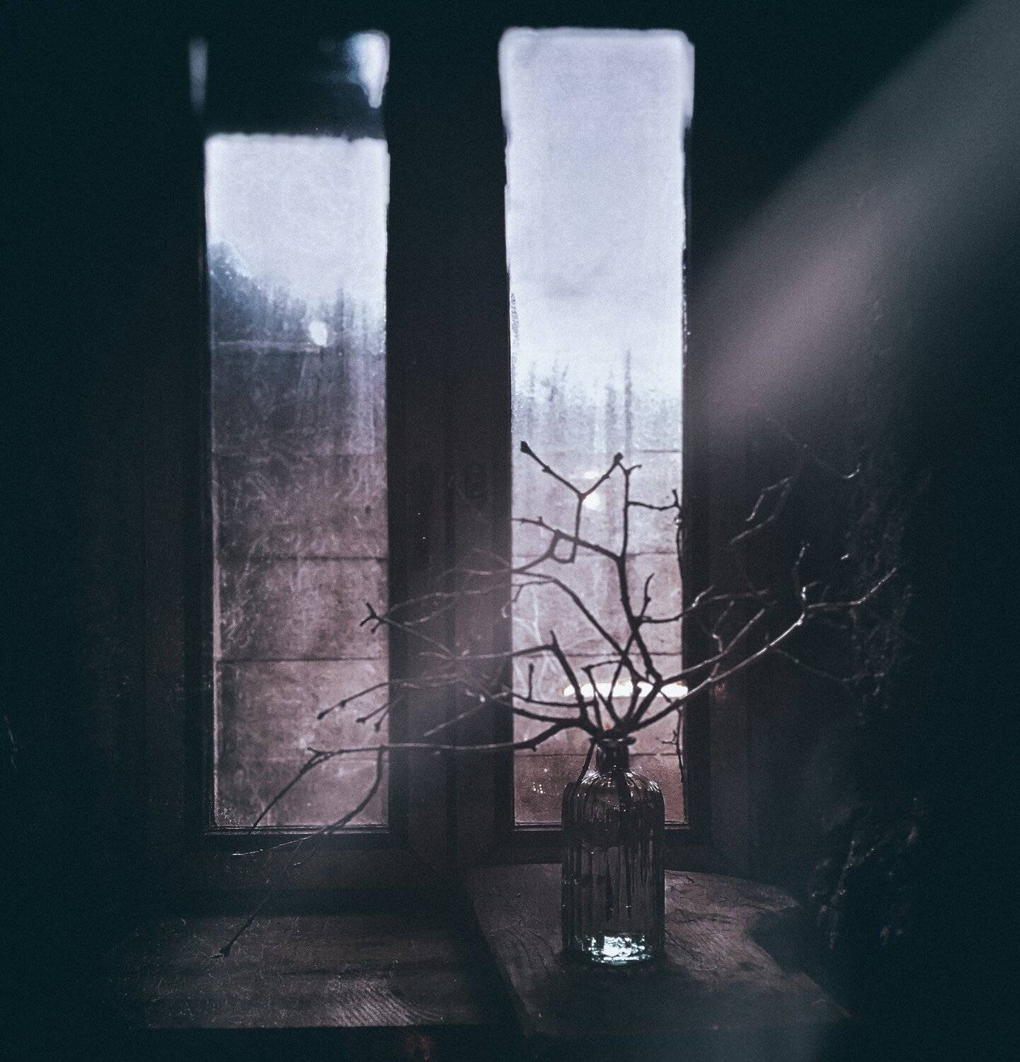 #iphone, #picsart, #snapseed, #pictorialism, Artur Politov