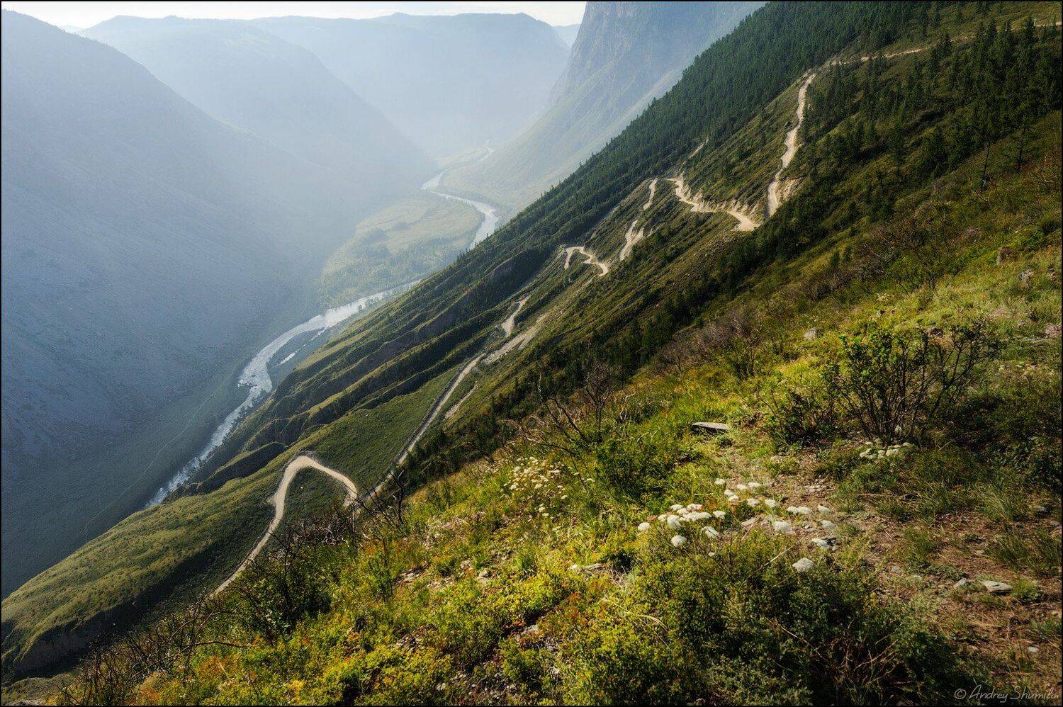 , Андрей Шумилин