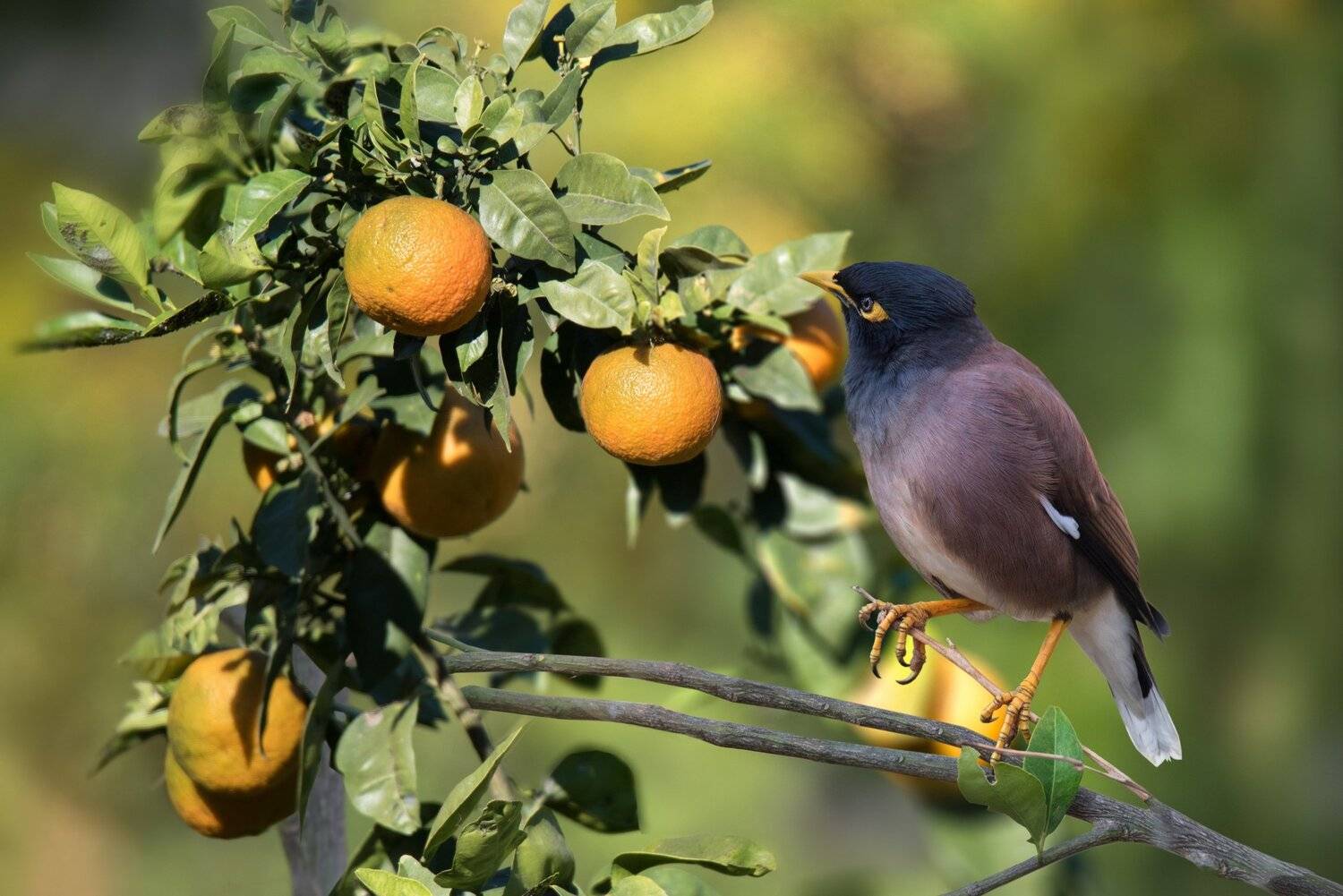 , Людмила Бекман