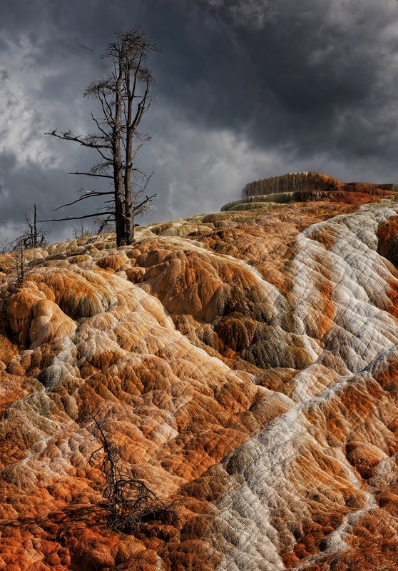 Orange Hill фото превью