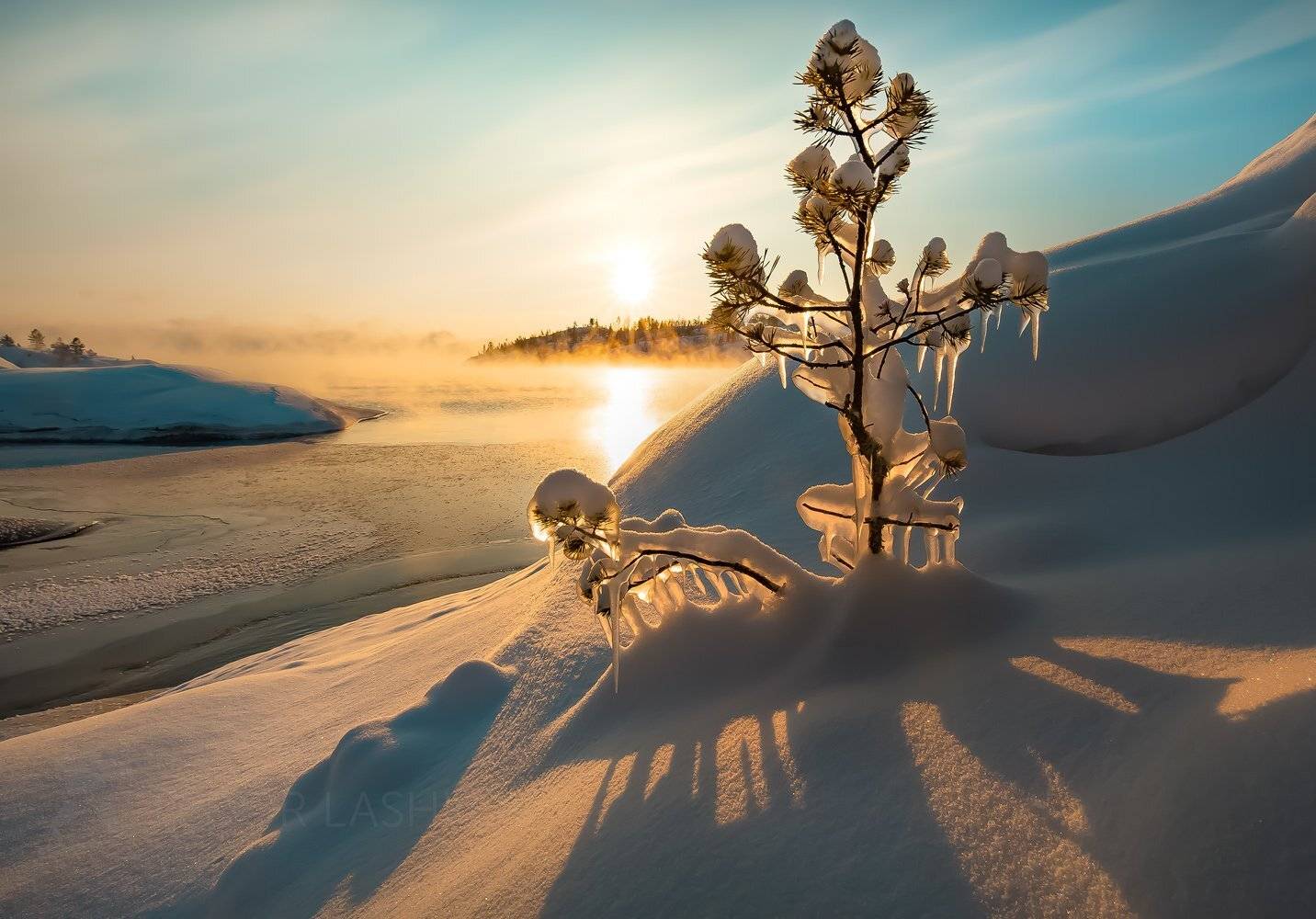 ладожское озеро, карелия, шхеры, национальный парк, зима, рассвет, солнце, наледь, вода, жёлтый, золотой, сосна, дерево, деревце, маленький, лёд, снег, туман,, Лашков Фёдор