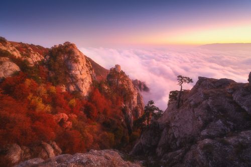 Над облаками