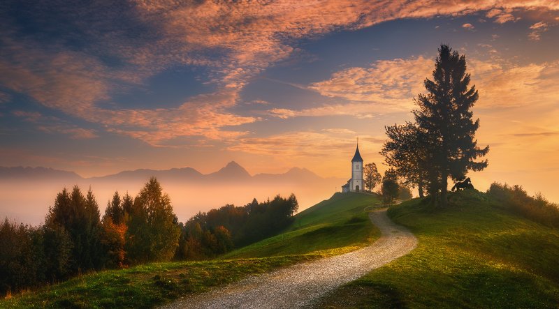 Jamnik... фото превью