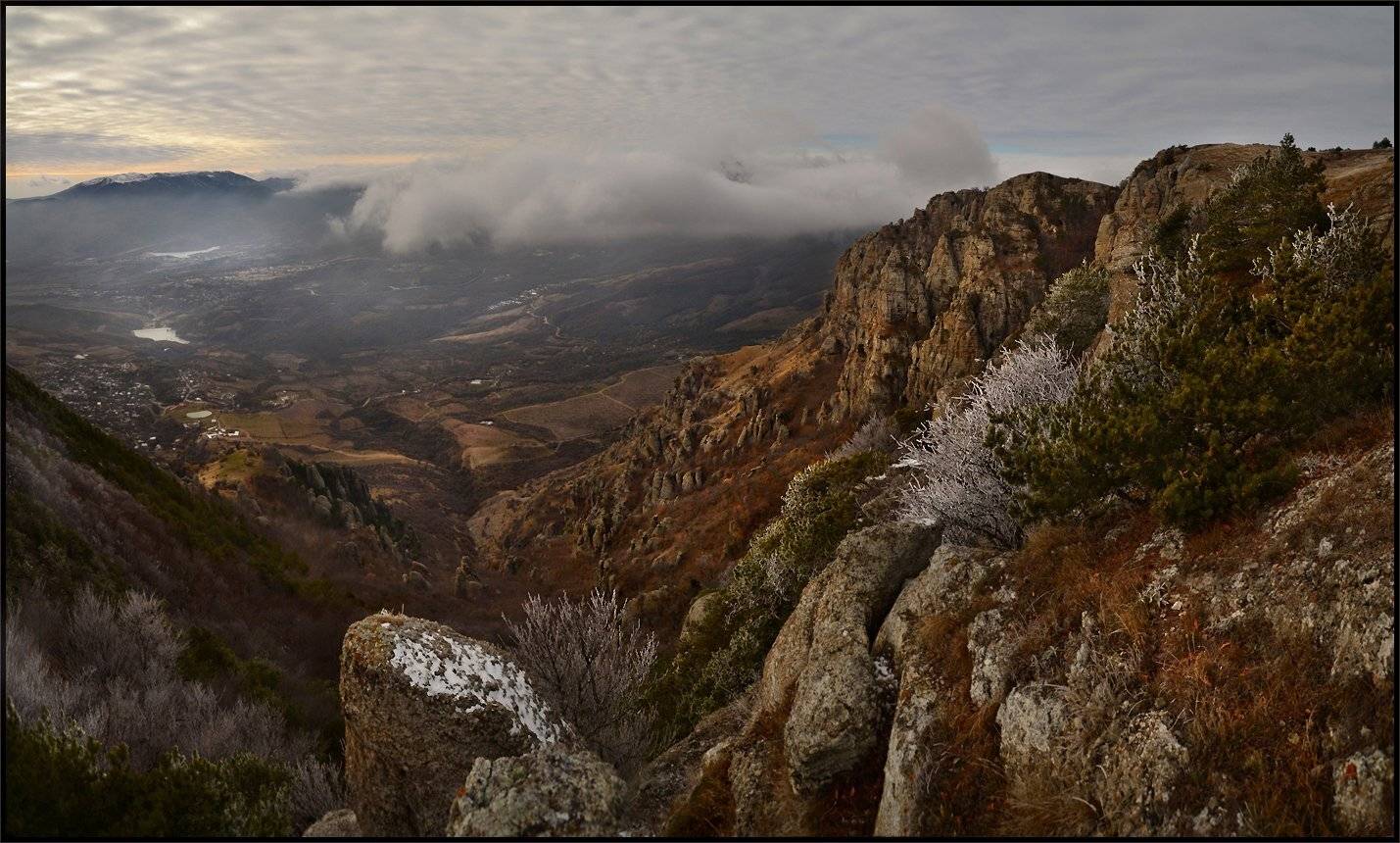 , Владимир Метцгер