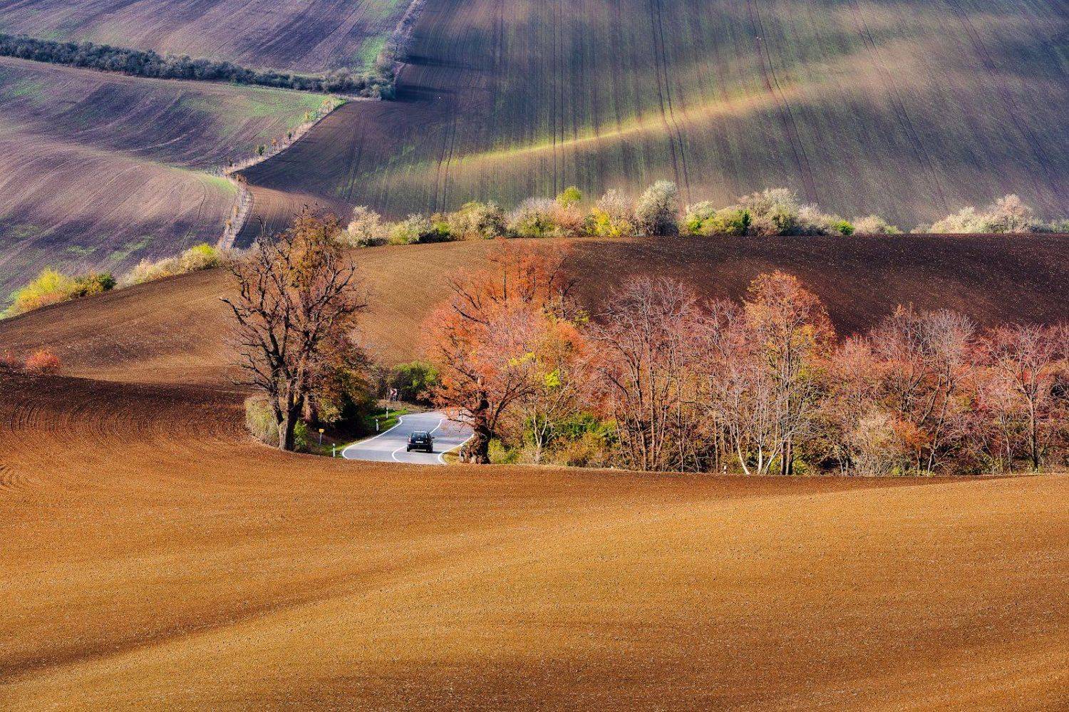 , Алексей Вымятнин