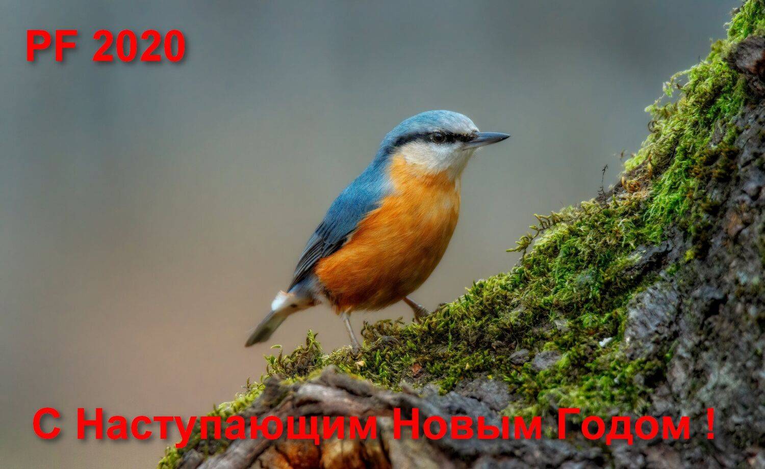 , Alexander Plekhanov