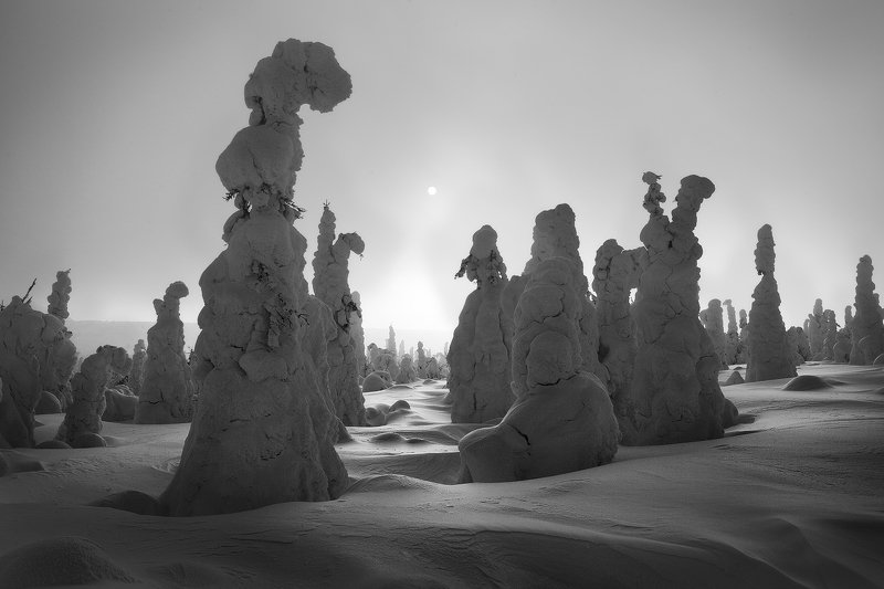 урал, зима, гух, снег, ели, облака ГУХ. По следам ФОТОГРАФА... фото превью