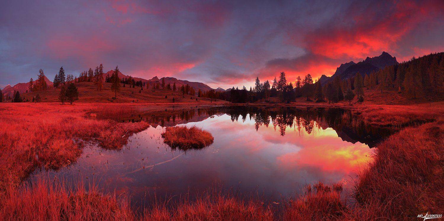 swiss, Матвеев Николай