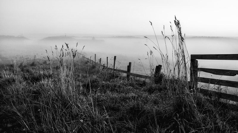 соловки, соловецкие острова, белое море, утро, туман, монстырь, рассвет, трава, ник васильев, Утро Соловецкое. фото превью