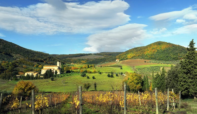 November ... фото превью