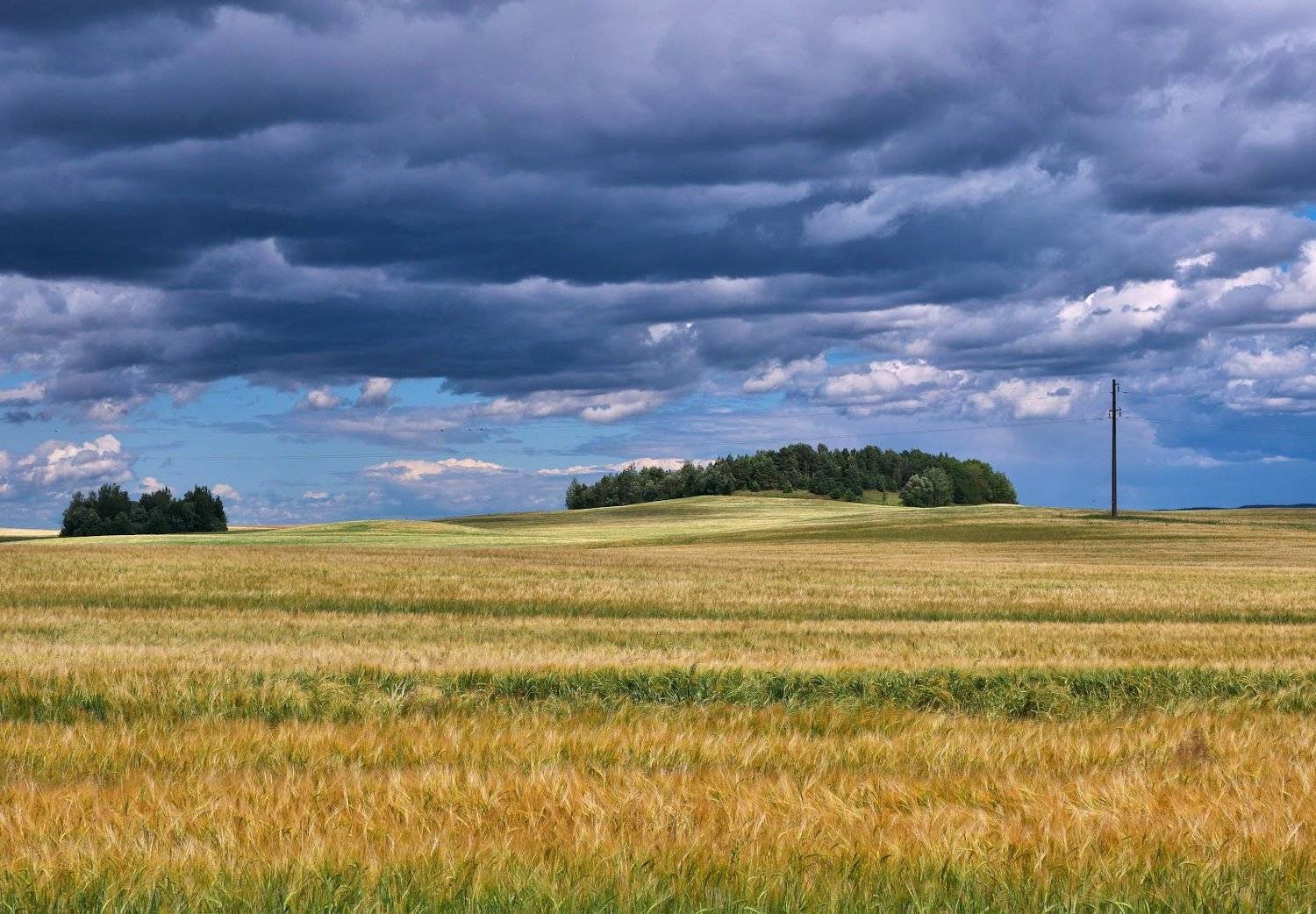 , Сергей Харитон