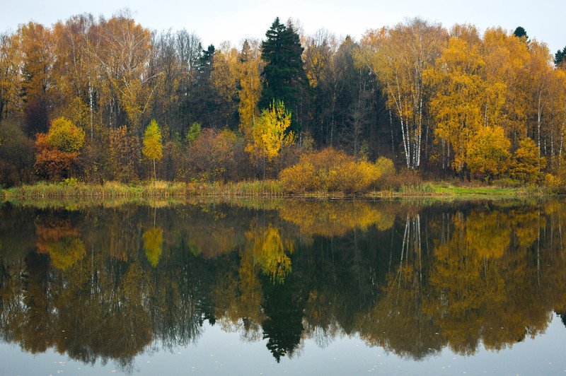 berendey 2 worlds фото превью