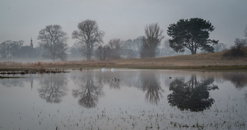 Rogalinek фото превью
