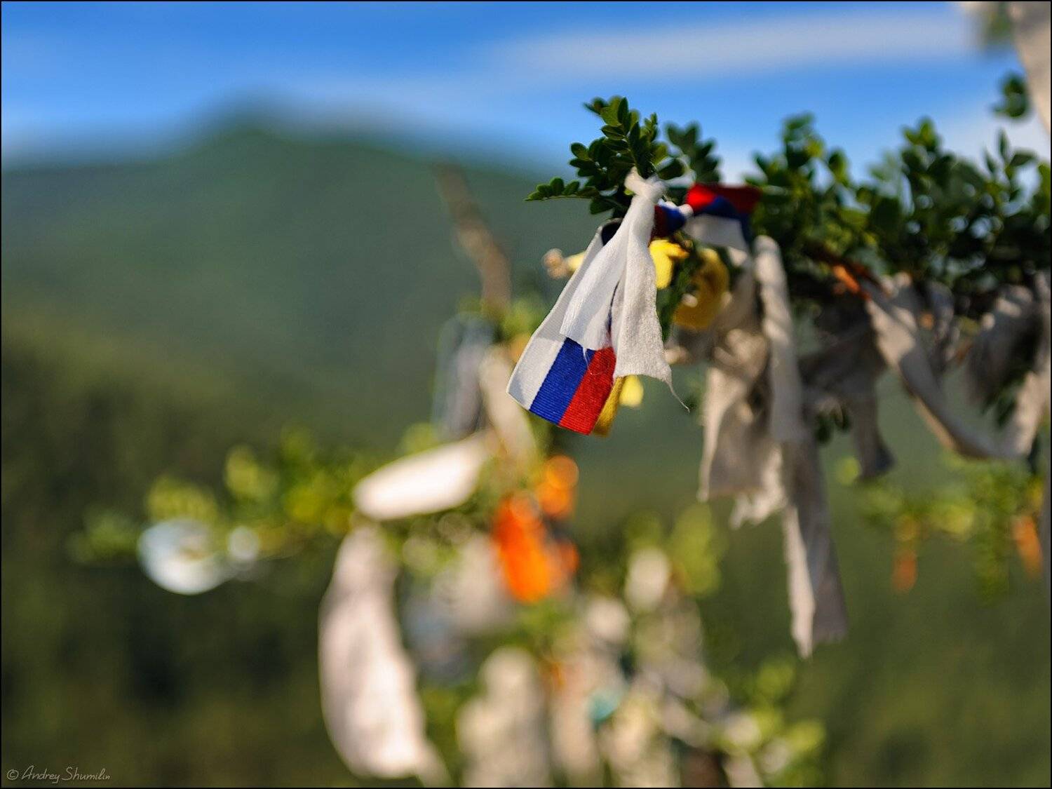 , Андрей Шумилин