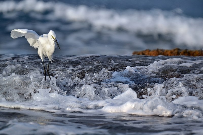 Неспокойно синее море.... фото превью