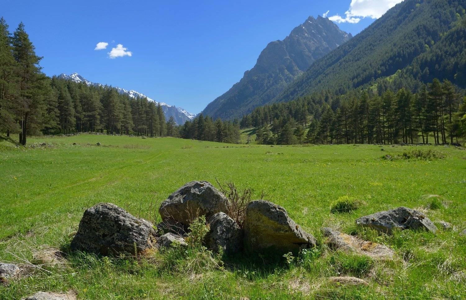 горы кавказ лето даут, Александр Жарников
