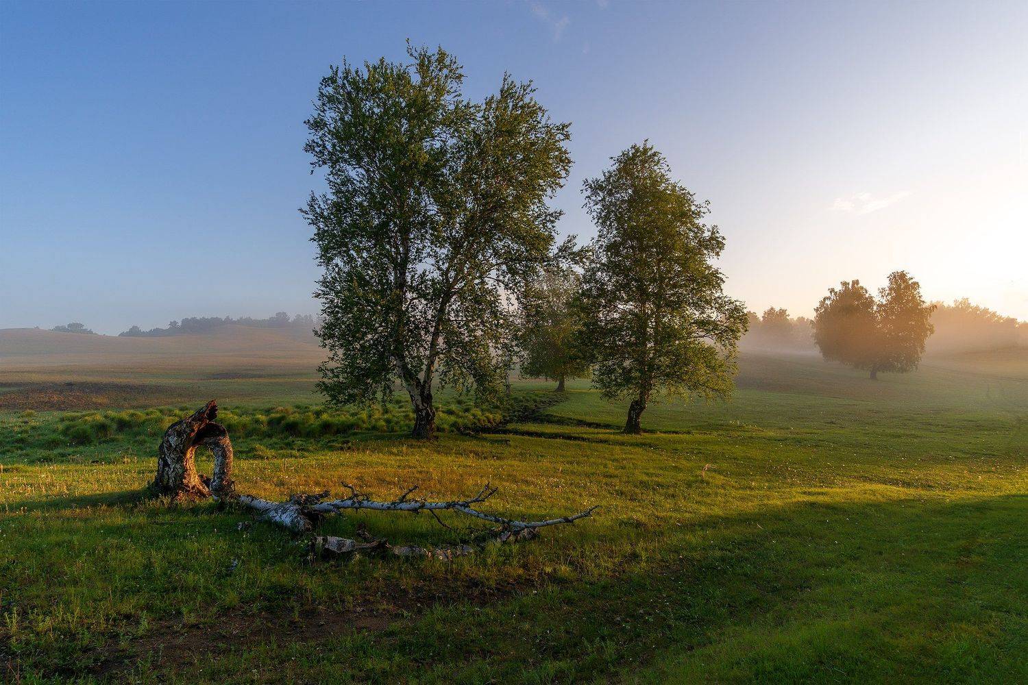 утро, рассвет, восход, туман, лучи, Леонид Максименко