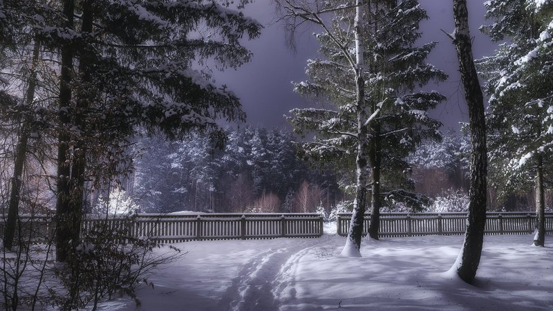 украина, коростышев, природа, лес, тропинка, свобода, полесье, зима, снег, метель, волшебство, тишина, уединение, счастье, жизнь, воздух, чистый, вдохновение, березки, деревья, просторы, фотограф, чорный, \