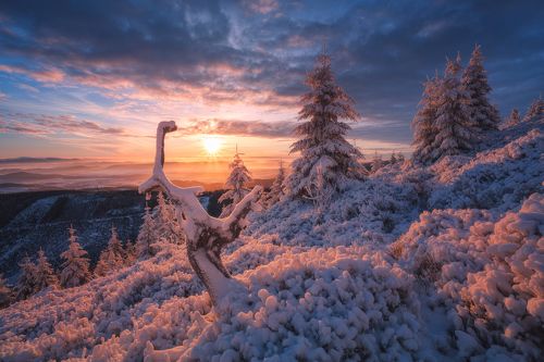 Sunrise Paints the Sky....