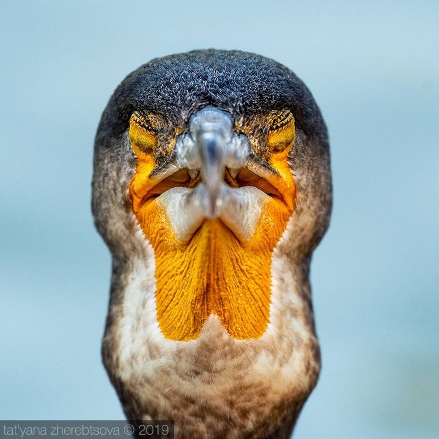 my-mriya, Татьяна Жеребцова