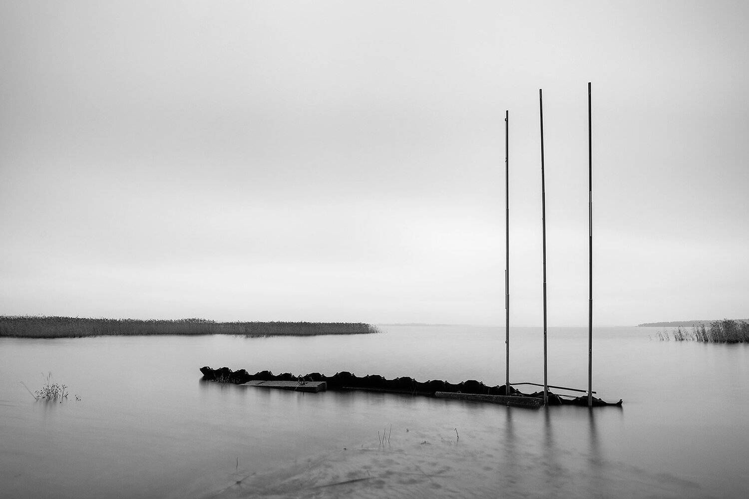 , Федотов Антон