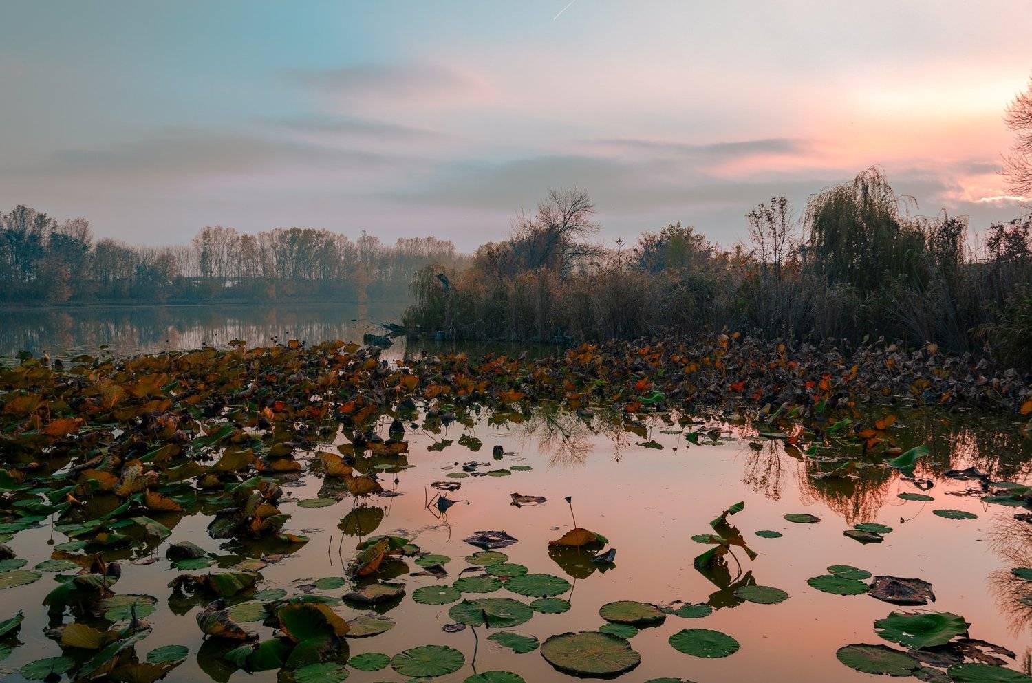 , Алексей Рыльский