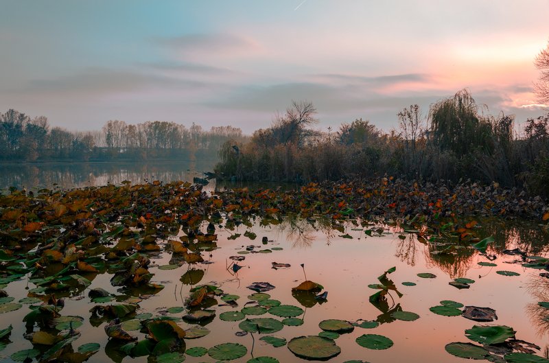 Рыжая осень речки Ставок фото превью
