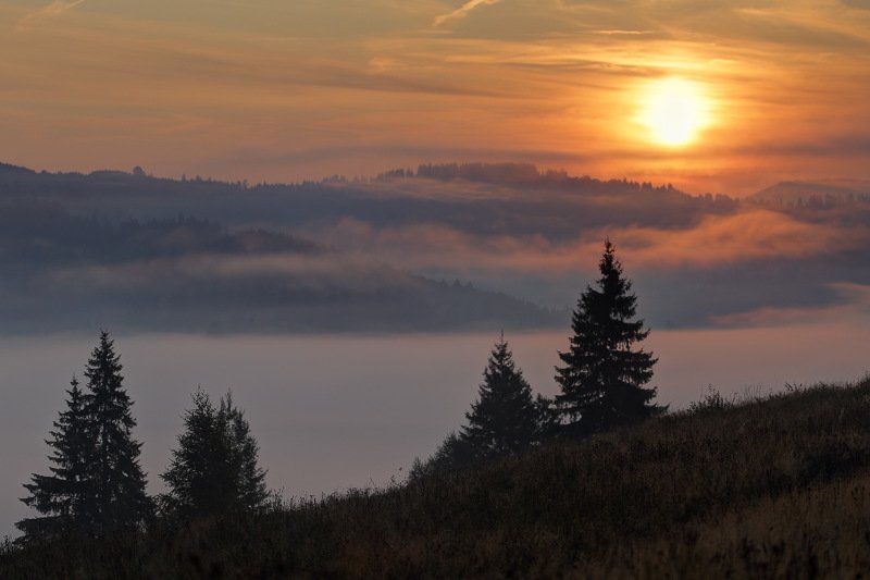 горы, карпаты, туман, утро, рассвет, солнце Утро фото превью