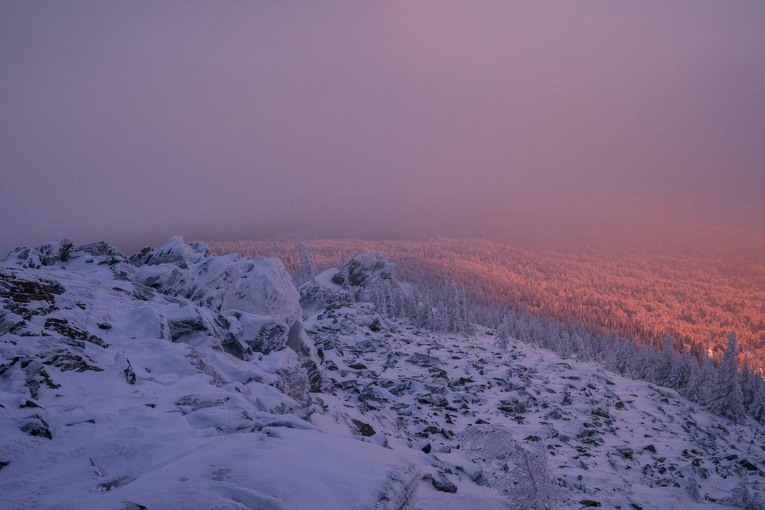 , Андрей Шарапов