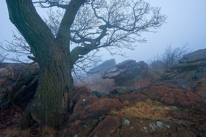 #ProPereval фото превью