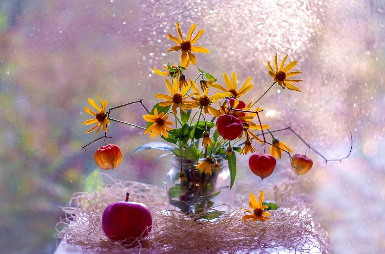 , Марина Соколова