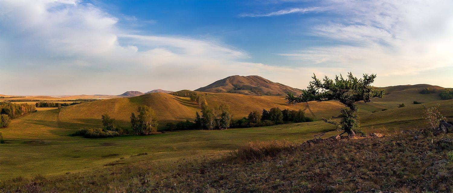 утро, рассвет, восход, туман, лучи, Леонид Максименко