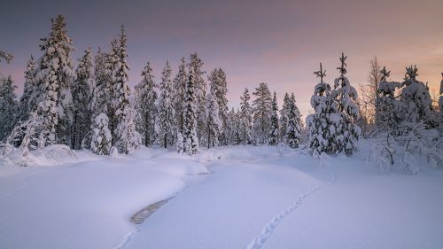А за городом ...