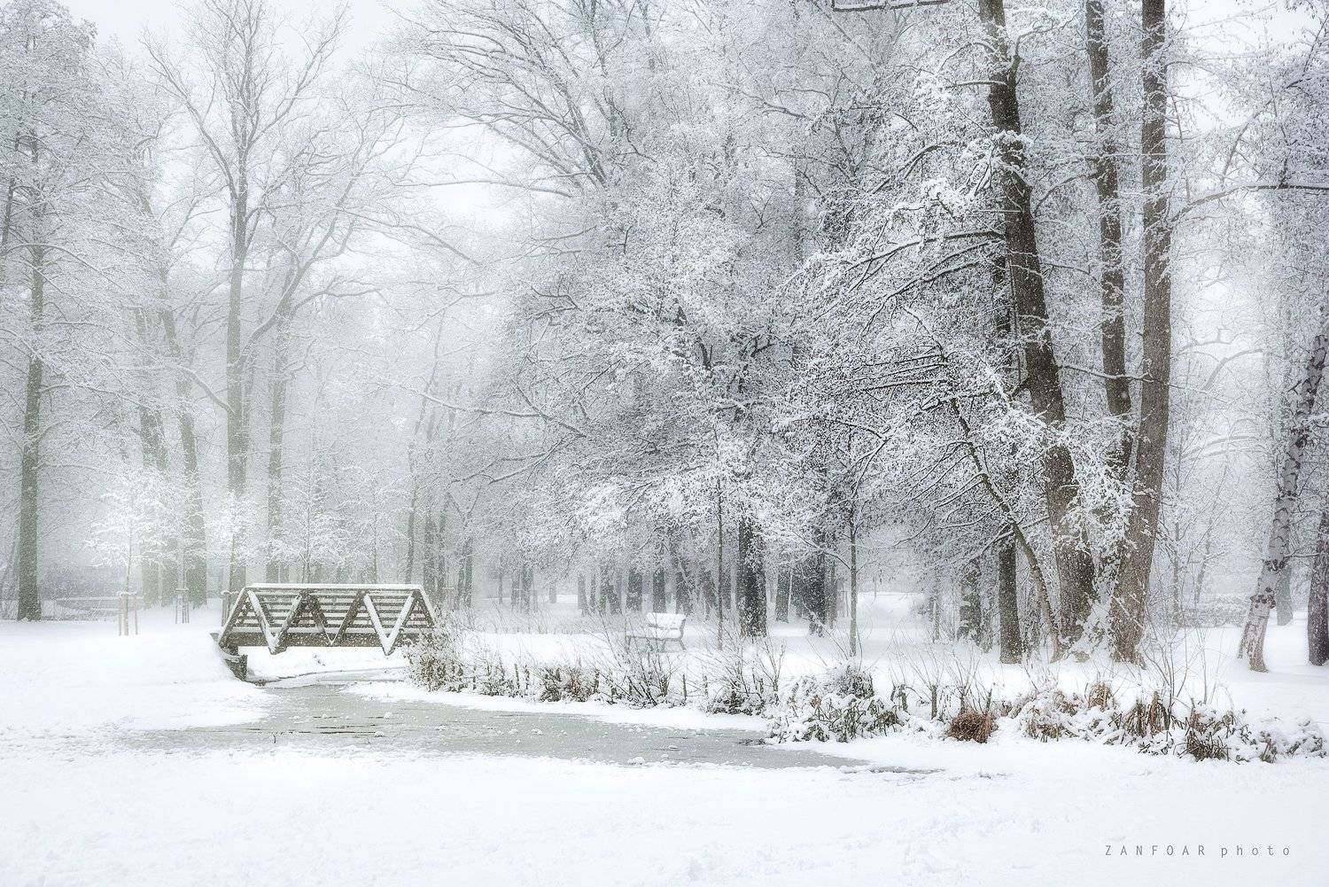 чехия,  Zanfoar