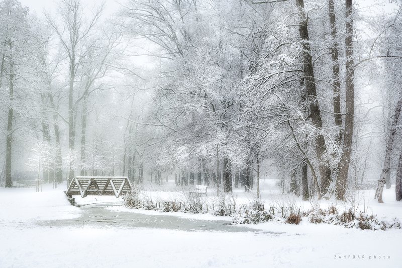 чехия Снег и туман фото превью