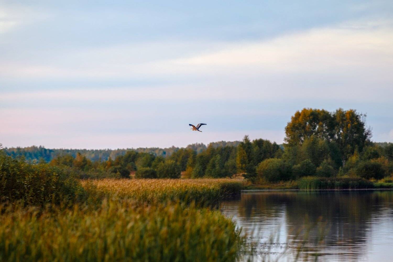 пейзаж, Сергей Сергеев
