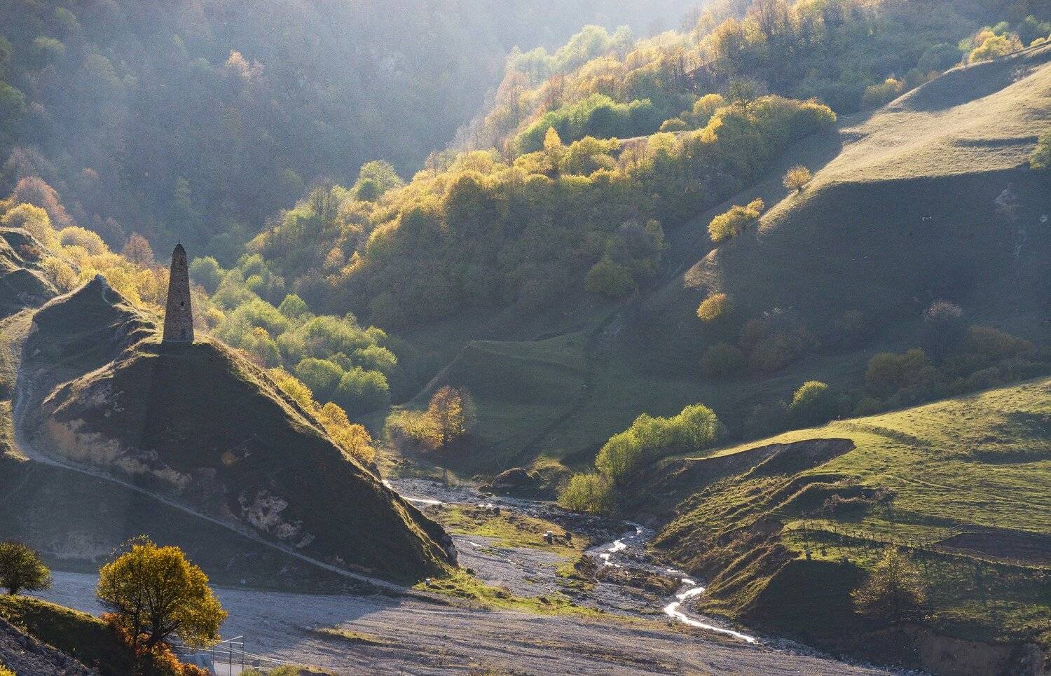 , Дмитрий Новоселов