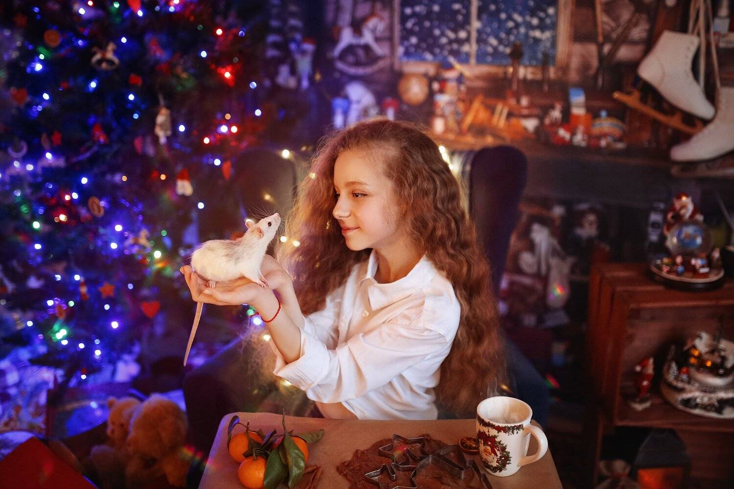 новый год год крысы рождество, Валерия Касперова