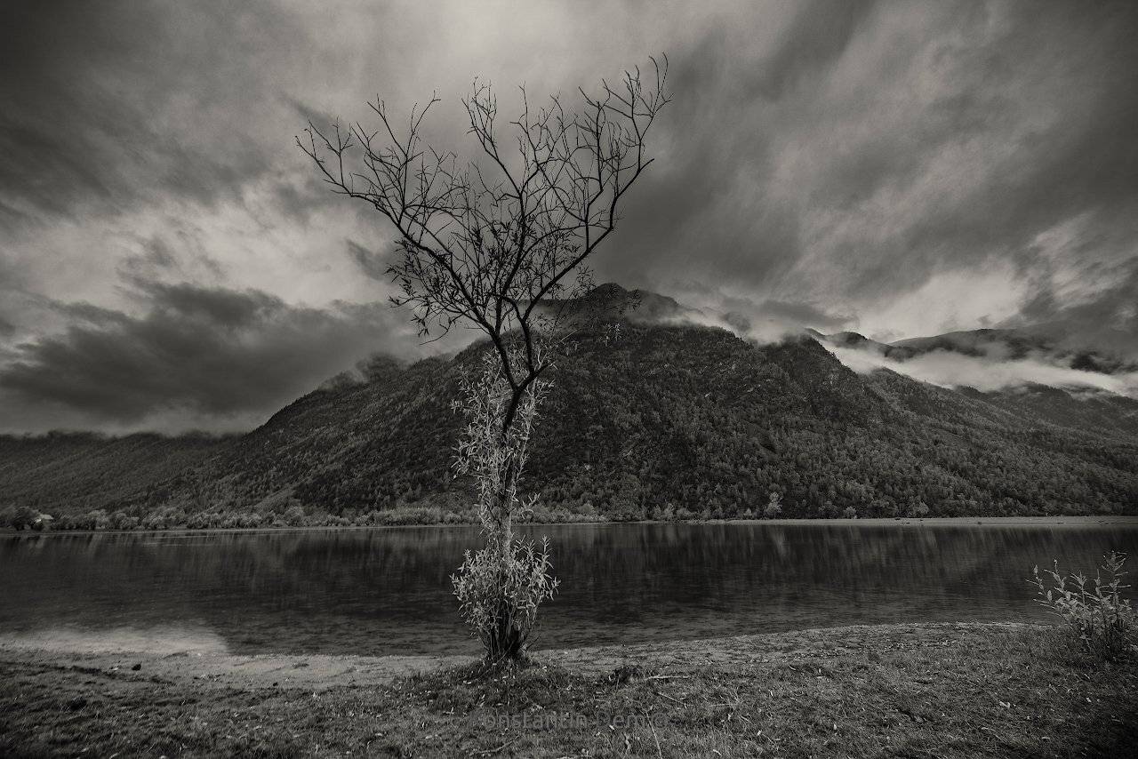 , Константин Дэм