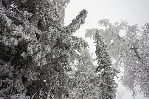 Шерегешские узоры